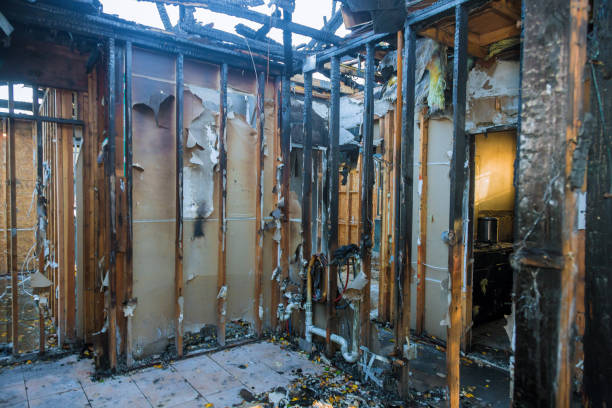 Professional Fire Damage Removal technician working in Redmond, WA