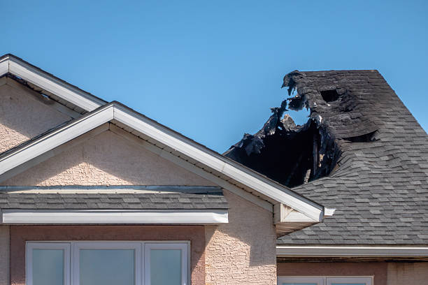 Top rated local Fire Damage Removal specialists in Redmond, WA